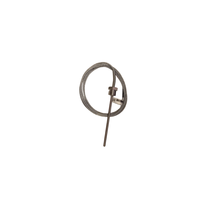 Thermoresistance PT100 - 150mm EM-RTR-M06.L150